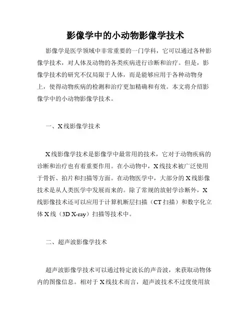 影像学中的小动物影像学技术