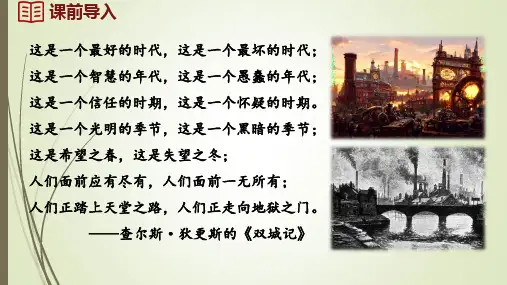 人教统编版九年级历史下册第6课 工业化国家的社会变化 (同步课件)