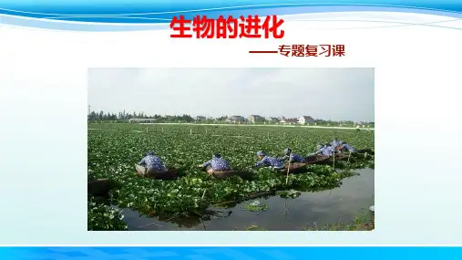 高中生物生物进化专题复习微课精品公开课PPT课件