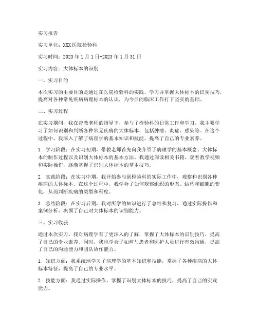 大体标本的识别实习报告