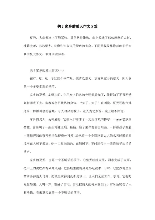 关于家乡的夏天作文5篇