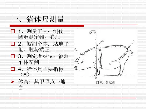 1-3：猪体型外貌评定