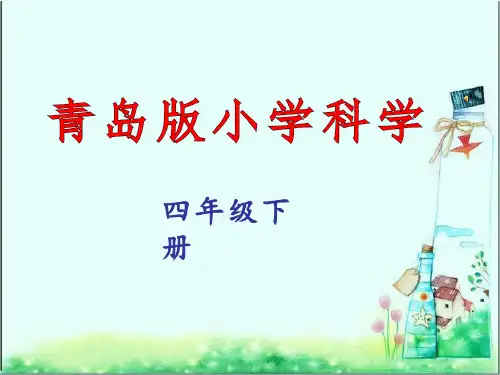 小学科学《航海家的发现》优质课件设计(1)