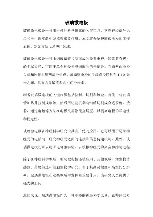玻璃微电极