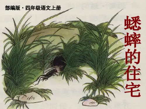 新版人教部编版四年级语文上册第11课《蟋蟀的住宅》PPT公开课课件精品
