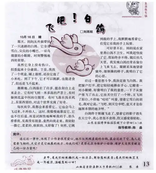 飞吧!白鸽