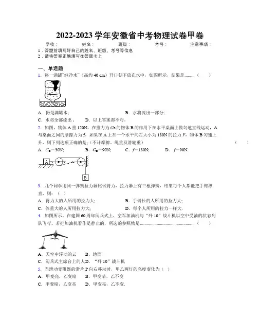 2022-2023学年安徽省中考物理试卷甲卷附解析