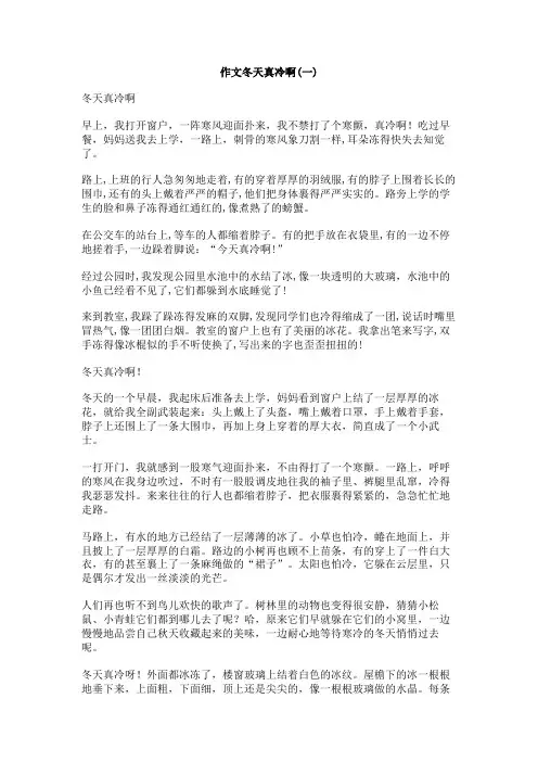 作文冬天真冷啊