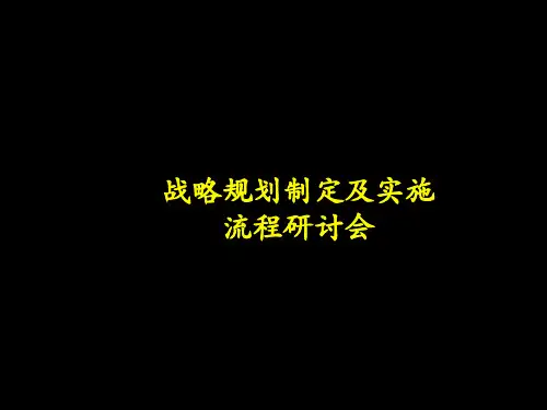 著名多元化战略规划制定及实施报告ppt讲义