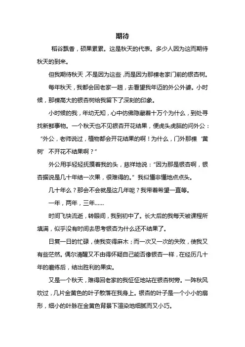 初一作文：期待作文800字