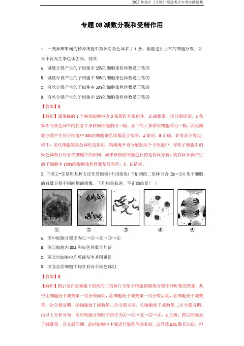 高中生物考点专题08 减数分裂和受精作用(解析版)