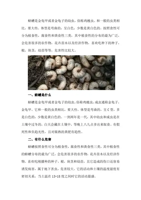 蛴螬是什么,有什么危害