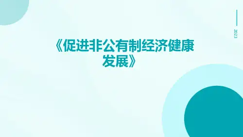 促进非公有制经济健康发展