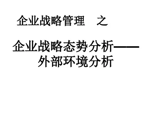 企业战略分析—外部环境分析