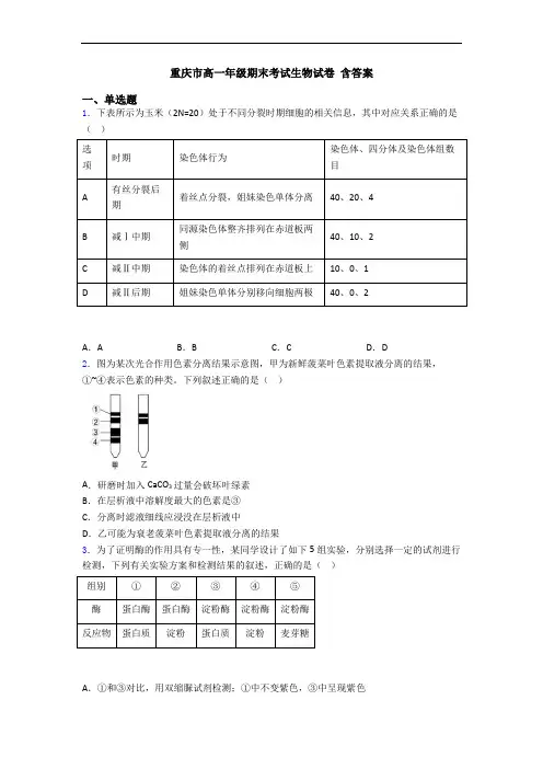 重庆市高一年级期末考试生物试卷 含答案