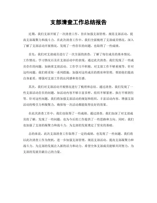 支部清查工作总结报告