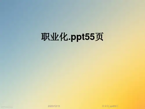 职业化.ppt55页