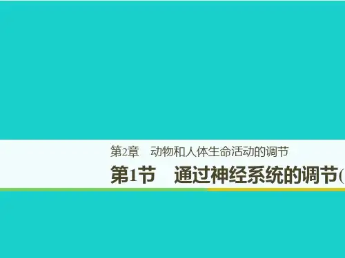 精选-新人教版高中生物第2章动物和人体生命活动的调节2.1通过神经系统的调节(Ⅱ)课件