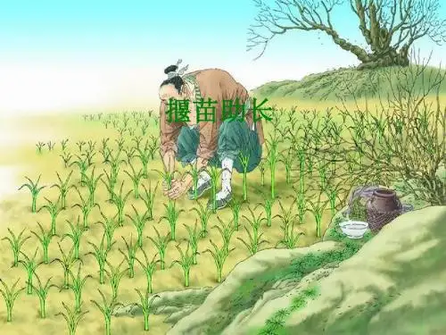 《寓言两则》之《揠苗助长》课件