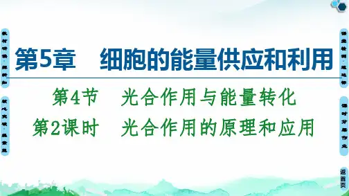 【新教材】光合作用的原理和应用 课件 【新教材】人教版高中生物必修第一册