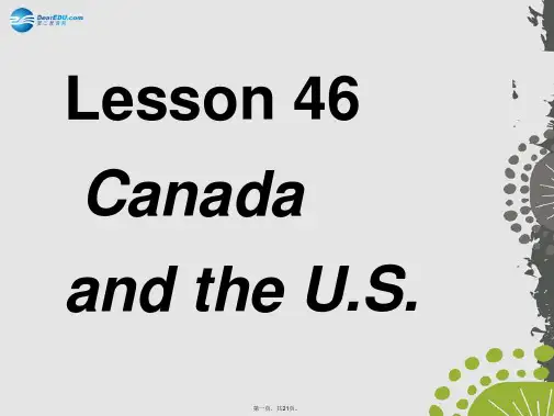 七年级英语上册 Unit 8 Countries around the World Lesson 4