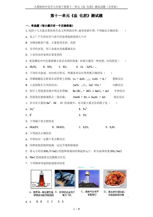 人教版初中化学九年级下册第十一单元《盐 化肥》测试试题(含答案) 2