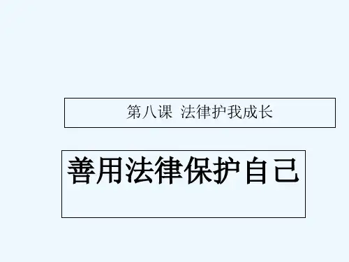 法律护我成长 PPT课件