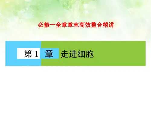 人教版高中生物必修一全章章末高效整合精讲课件