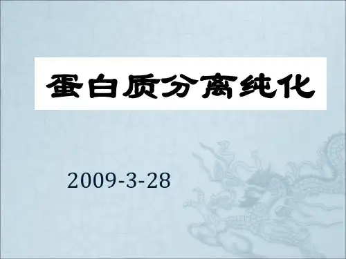 蛋白质分离纯化技术