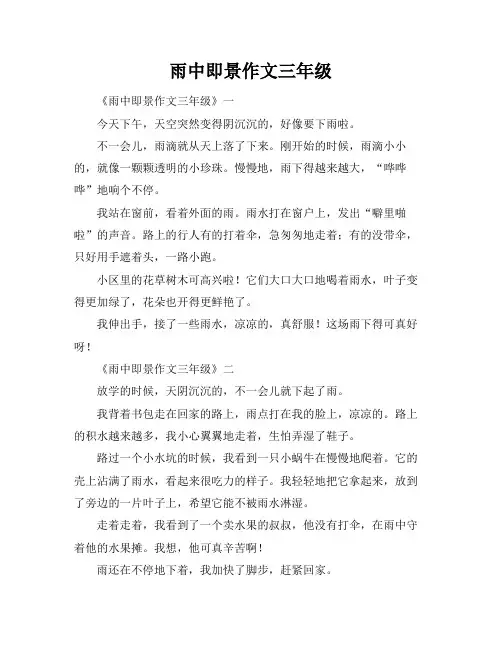 雨中即景作文三年级