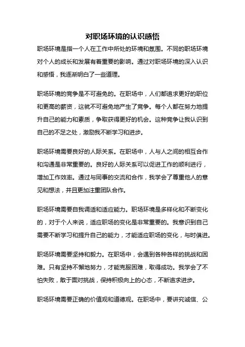 对职场环境的认识感悟