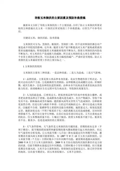 导致玉米倒伏的主要因素及预防补救措施