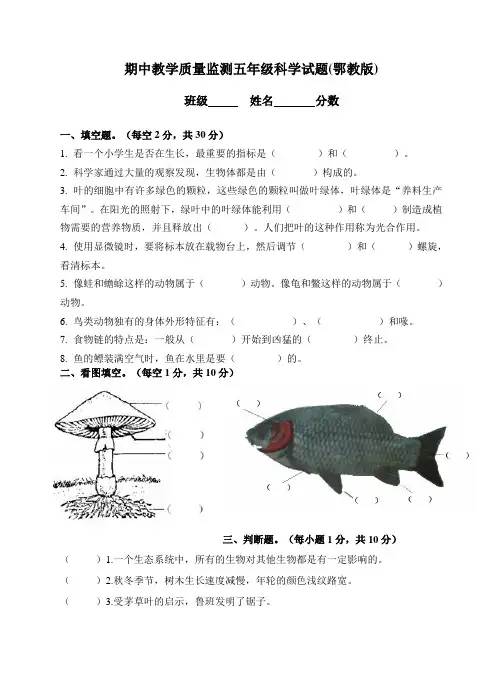 鄂教版小学五年级上册科学期中和期末试题(附答案)