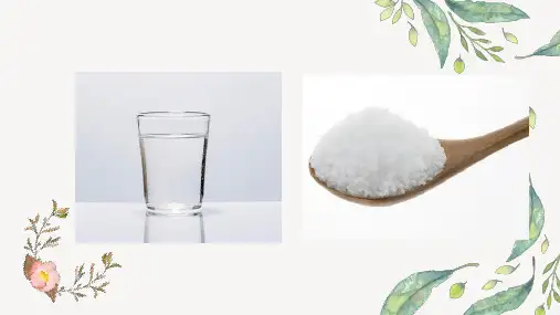 科学《水变咸了》课件