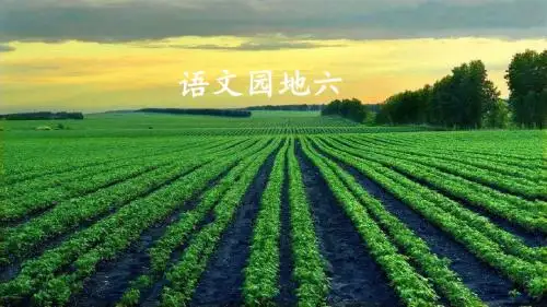 部编人教版六年级语文上册《语文园地六》精品课件(共32张PPT)
