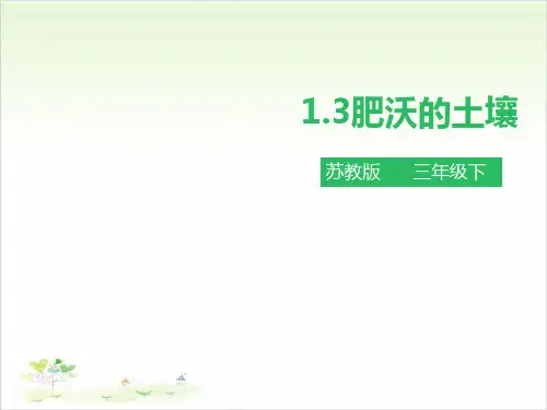 三年级下册科学-肥沃的土壤苏教版