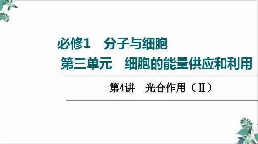 高三一轮复习生物新高考全国通用版第光合作用(Ⅱ)课件