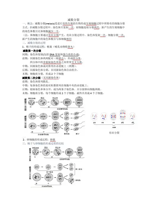 减数分裂知识点  特别全 配图