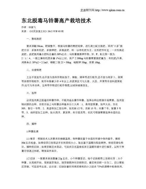 东北脱毒马铃薯高产栽培技术