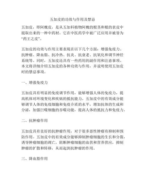 五加皮的功效与作用及禁忌