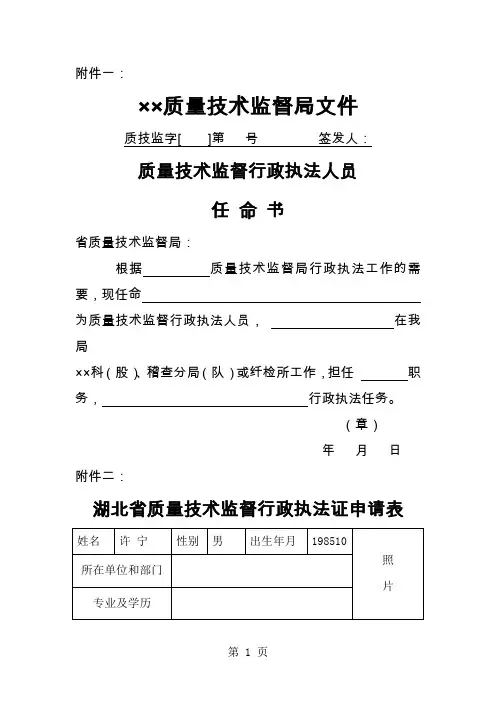 执法证十种表格10页word