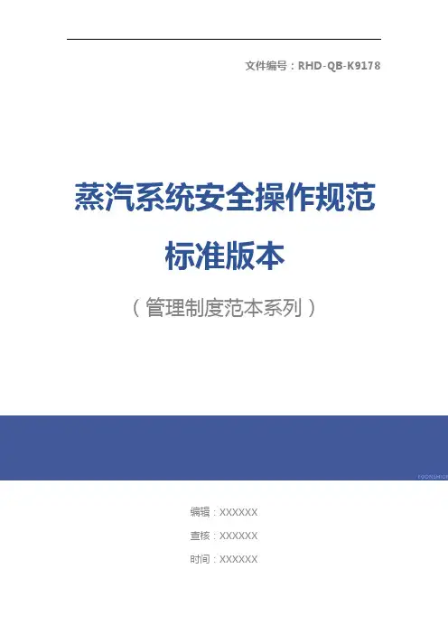 蒸汽系统安全操作规范标准版本