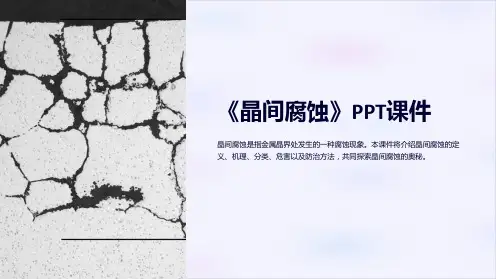 《晶间腐蚀》课件