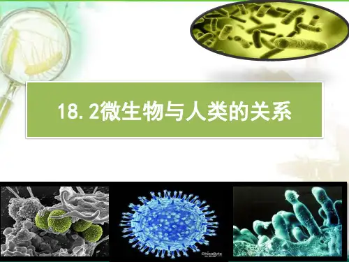 北师大版生物八年级上册18.2《微生物与人类的关系》课件(共21张PPT)