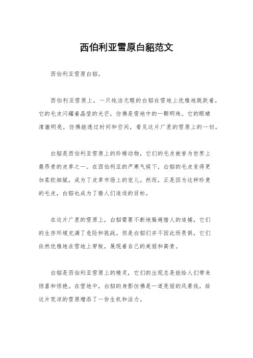 西伯利亚雪原白貂范文