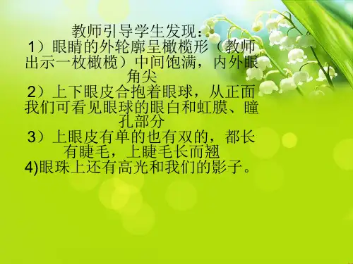 大眼睛一年级美术精品PPT课件