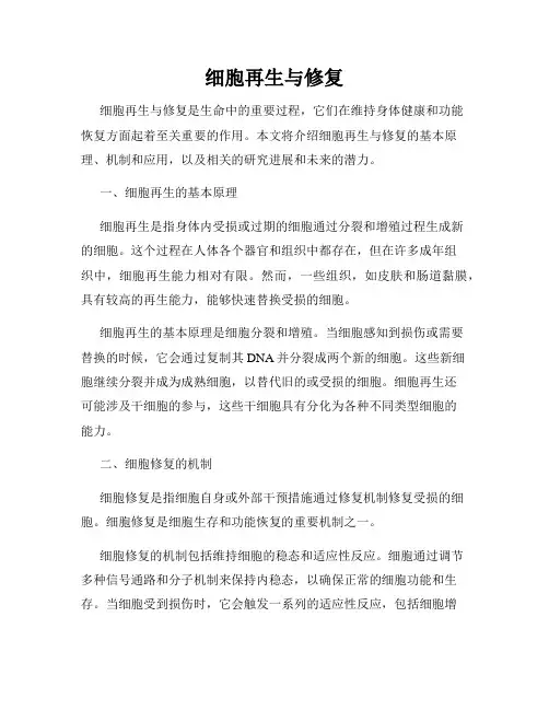 细胞再生与修复