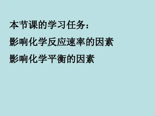 影响化学反应速率和化学平衡的因素