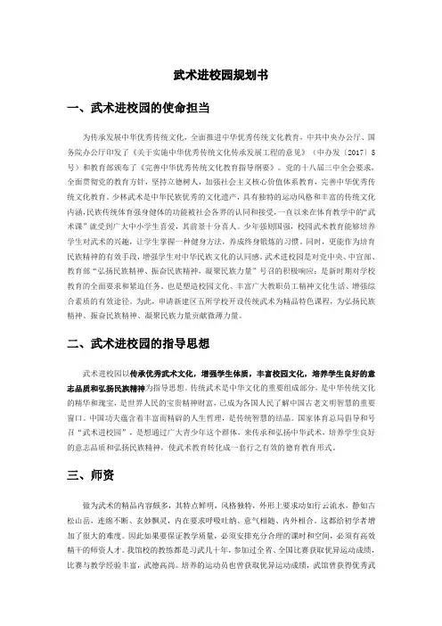 武术进校园规划书