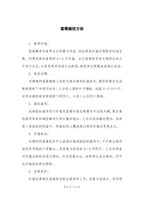 蓝莓插枝方法